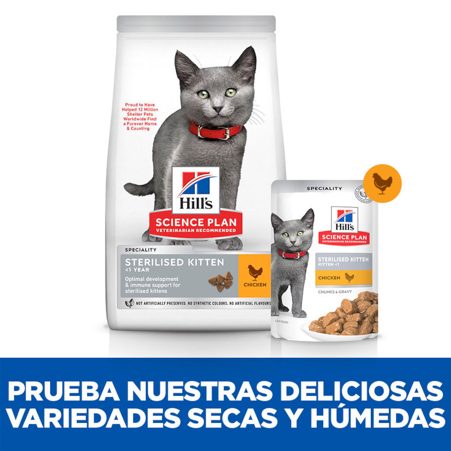 12 saquetas x 85 g Hill's Science Plan Feline Sterilised Kitten Frango em Molho saqueta para gatos, , large Imagem n&uacute;mero 5