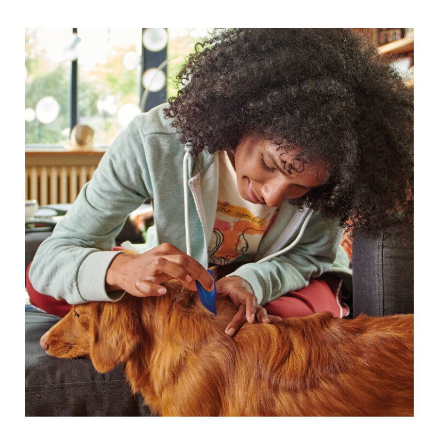 Beaphar FiproTec Pipetas Antiparasit&aacute;rias para c&atilde;es de ra&ccedil;a pequena, , large Imagem n&uacute;mero 6