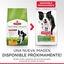 Hill's Medium Adult Science Plan Youthful Vitality Frango ração para cães, , large Indicador imagem número 4