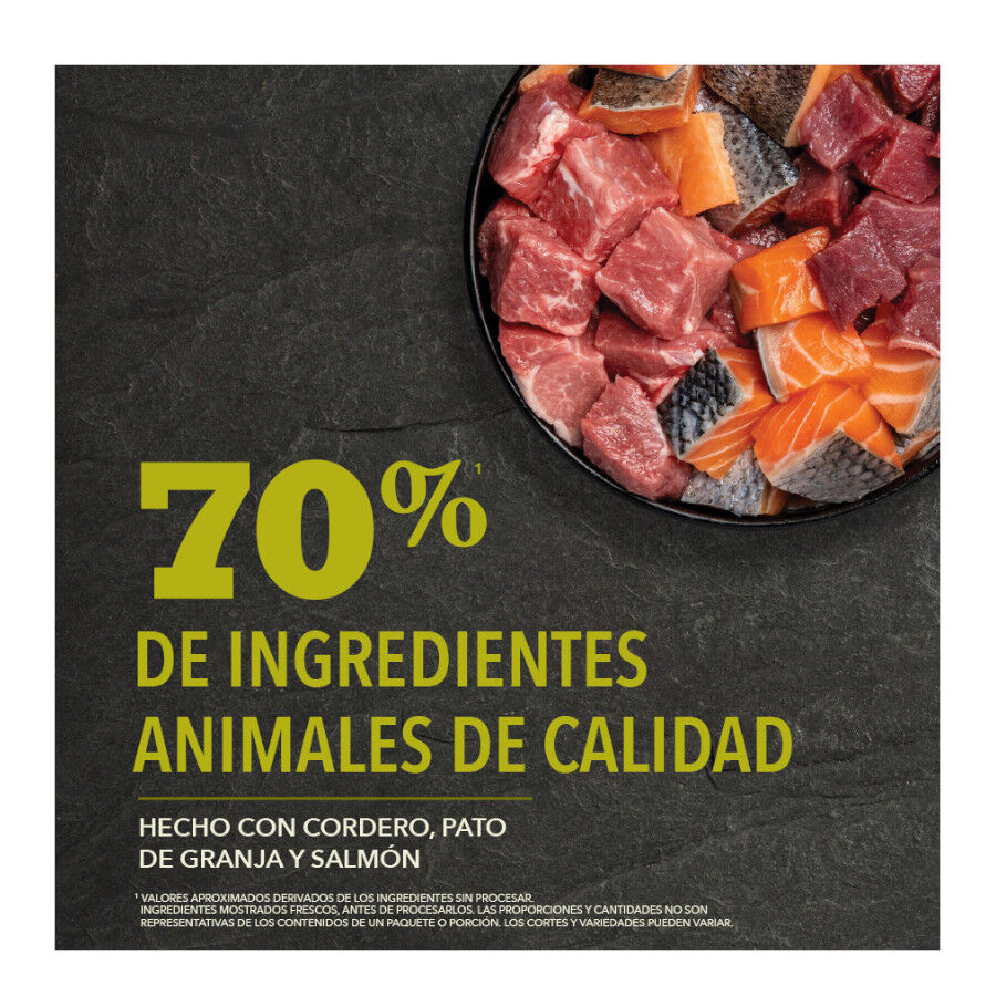 11.4 kg Acana Grasslands Ra&ccedil;&atilde;o para c&atilde;es, , large Imagem n&uacute;mero 6