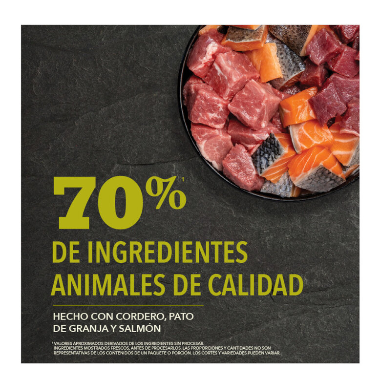 11.4 kg Acana Grasslands Ração para cães,  Imagem número 6 11.4 kg Acana Grasslands Ração para cães, , large Imagem número 6