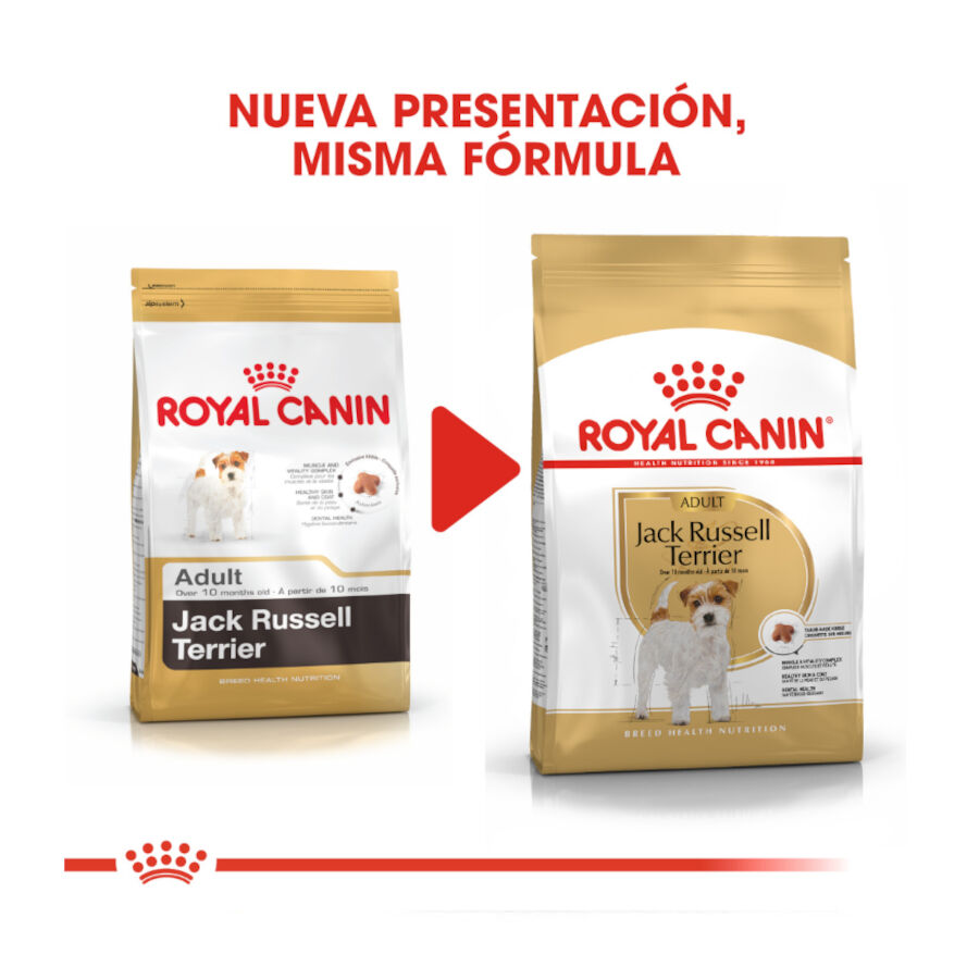 Royal Canin Adult Jack Russell Terrier ra&ccedil;&atilde;o para c&atilde;es, , large Imagem n&uacute;mero 3