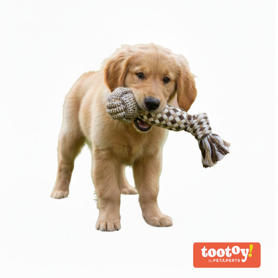 Tootoy! Pull Bola com apito e corda para c&atilde;es, , large Imagem n&uacute;mero 6