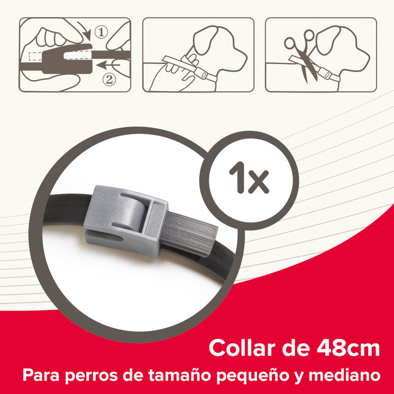 Beaphar Canishield Coleira Antipulgas para cães,  Imagem número 6 Beaphar Canishield Coleira Antipulgas para cães, , large Imagem número 6