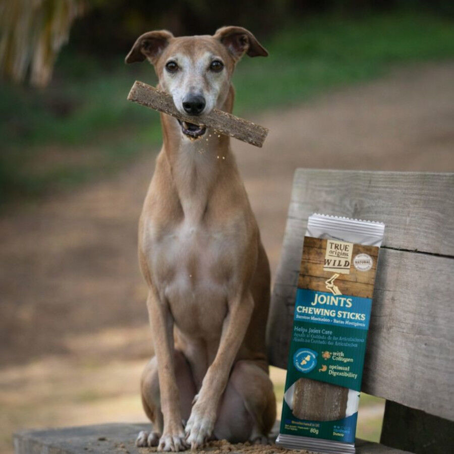 1 ud. True Origins Joints Chewing Sticks Snack para perros, , large Imagem n&uacute;mero 1