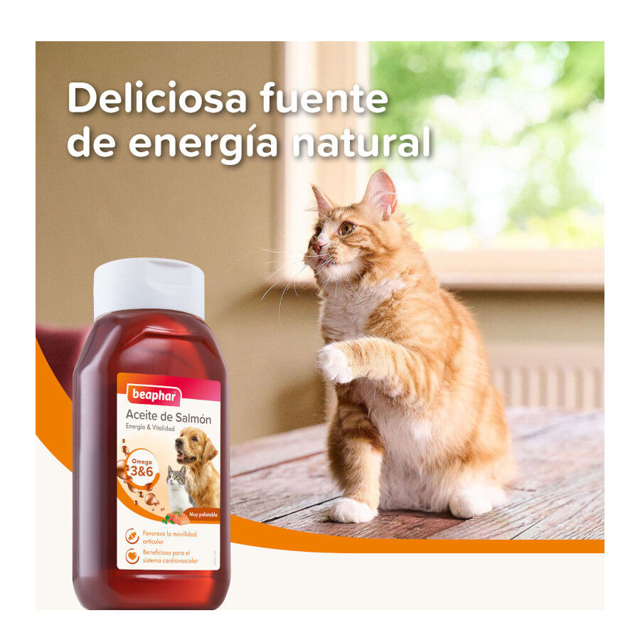 425 ml Beaphar &Oacute;leo de Salm&atilde;o para c&atilde;es e gatos, , large Imagem n&uacute;mero 4