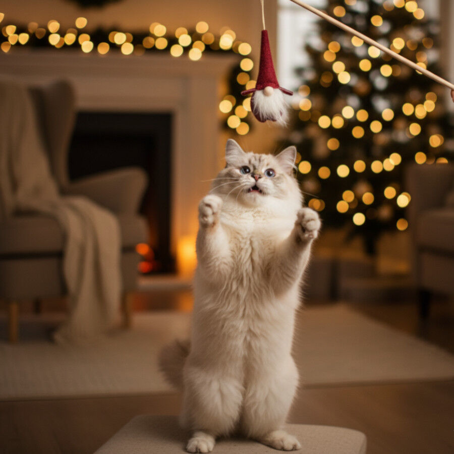 Wonder Christmas Vara com Brinquedo Pai Natal para Gatos, , large Imagem n&uacute;mero 3