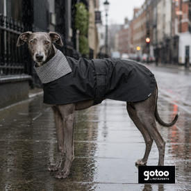 Gotoo Casaco Tipo Gabardina para galgos