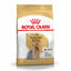 500 g Royal Canin Adult Yorkshire Terrier ração para cães, , large Indicador imagem número 1