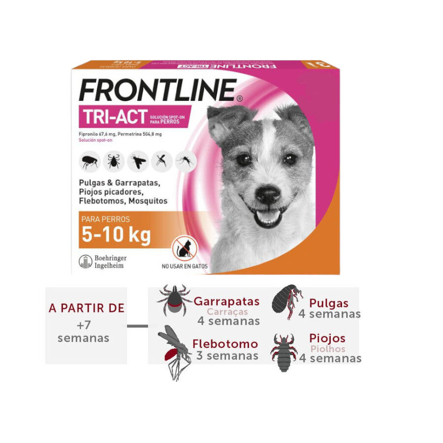 Frontline Tri-Act Pipetas Antiparasit&aacute;rias para c&atilde;es 5-10 kg, , large Imagem n&uacute;mero 1