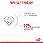 Royal Canin Mini Puppy image number null