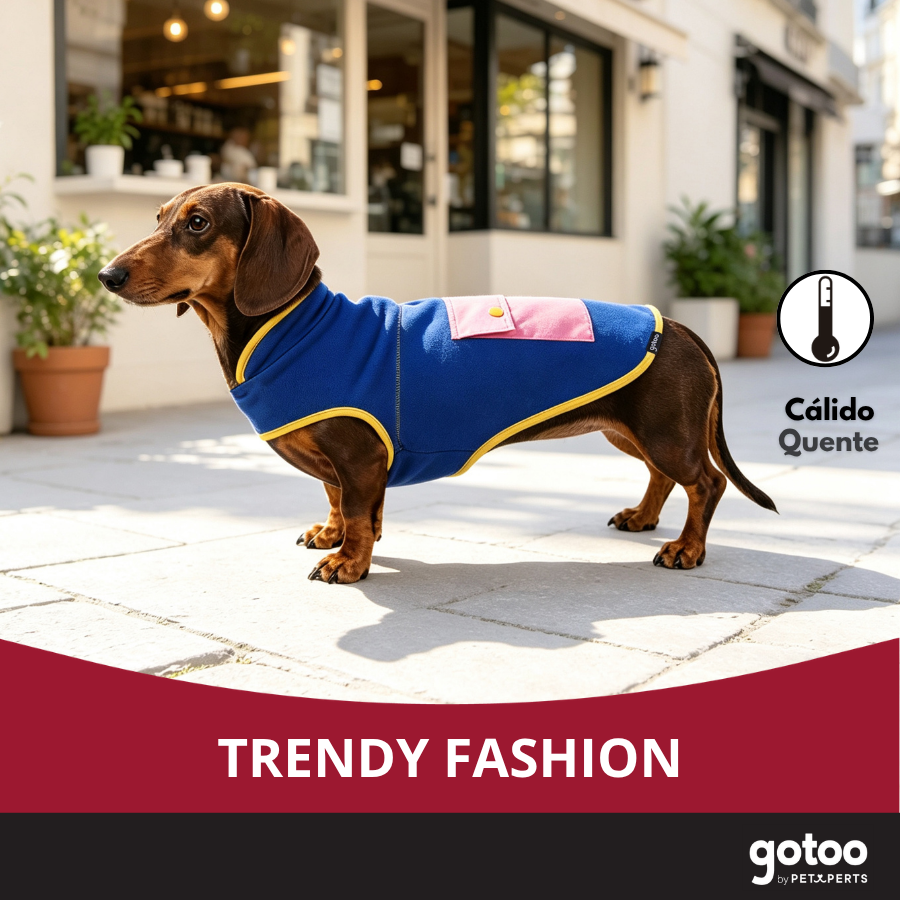 Gotoo Casaco Azul com Bolso para c&atilde;es, , large Imagem n&uacute;mero 6
