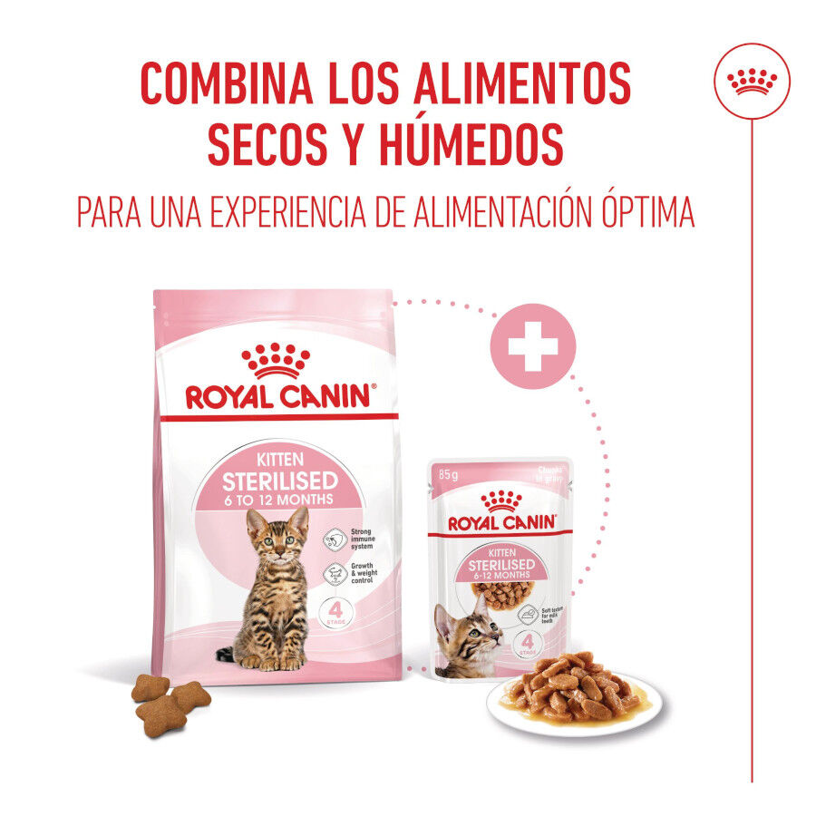 85 g Royal Canin Kitten Sterilised alimento h&uacute;mido em molho saquetas para gatos, , large Imagem n&uacute;mero 5