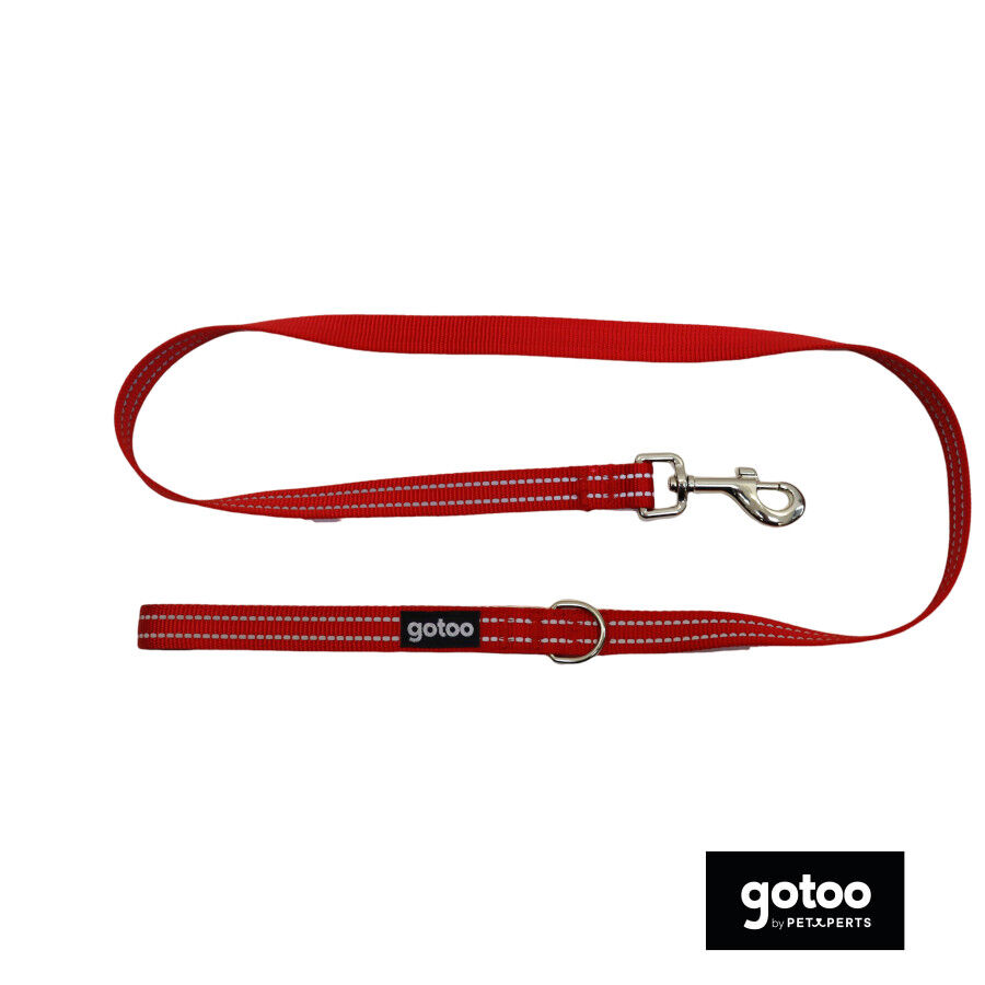 Gotoo Trela de nylon refletora vermelha para c&atilde;es, , large Imagem n&uacute;mero 2