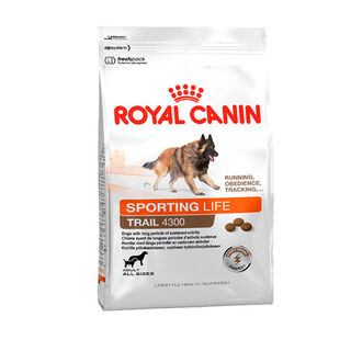 Royal Canin Adult Sporting Life Endurance 4300 ração para cães