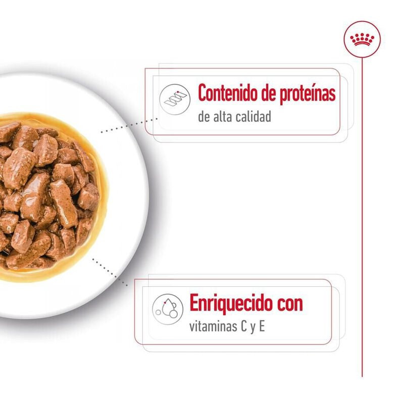140 g Royal Canin Medium Adult saquetas em molho para cães,  Imagem número 4 140 g Royal Canin Medium Adult saquetas em molho para cães, , large Imagem número 4