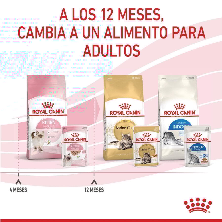 85 g Royal Canin Kitten pat&ecirc; em saquetas para gatos, , large Imagem n&uacute;mero 11