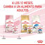 85 g Royal Canin Kitten patê em saquetas para gatos, , large Indicador imagem número 11