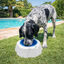 Summer Vibes Cool Bowl Small Comedouro para c&atilde;es, , large Indicador imagem n&uacute;mero 1