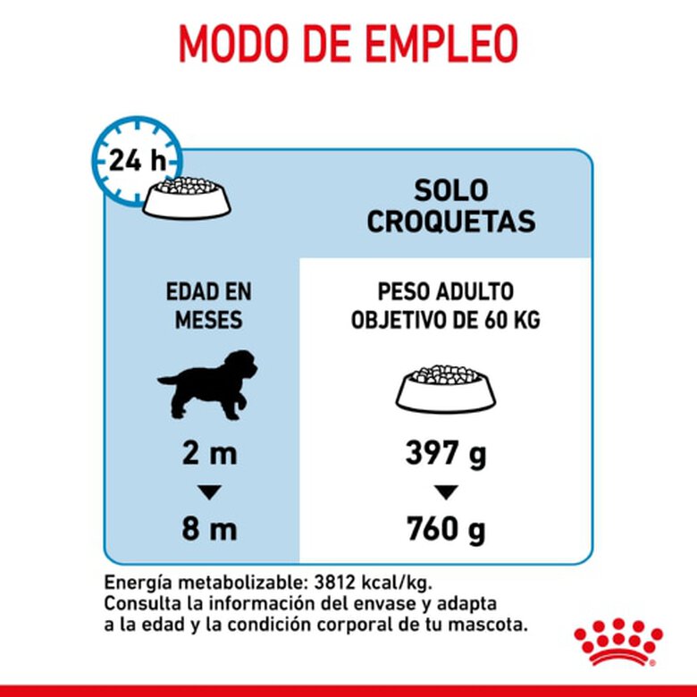 Royal Canin Puppy Giant ração para cães, , large image number null