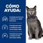 3 kg Hill's Prescription Diet Food Sensitivities d/d Pato ração para gatos, , large Indicador imagem número 4