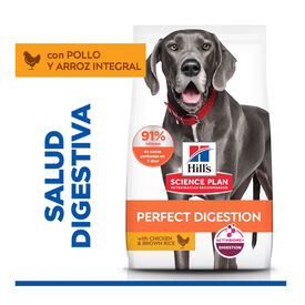 Hill's Large Adult Science Plan Perfect Digestion Frango ra&ccedil;&atilde;o para c&atilde;es