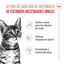 85 g Royal Canin Kitten Sterilised alimento húmido em molho saquetas para gatos, , large Indicador imagem número 3