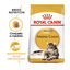 10 kg Royal Canin Adult Maine Coon ração para gatos, , large Indicador imagem número 2
