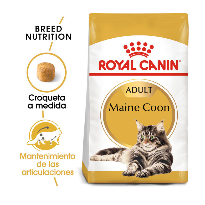 4 kg Royal Canin Adult Maine Coon ração para gatos,  Imagem número 2 4 kg Royal Canin Adult Maine Coon ração para gatos, , large Imagem número 2