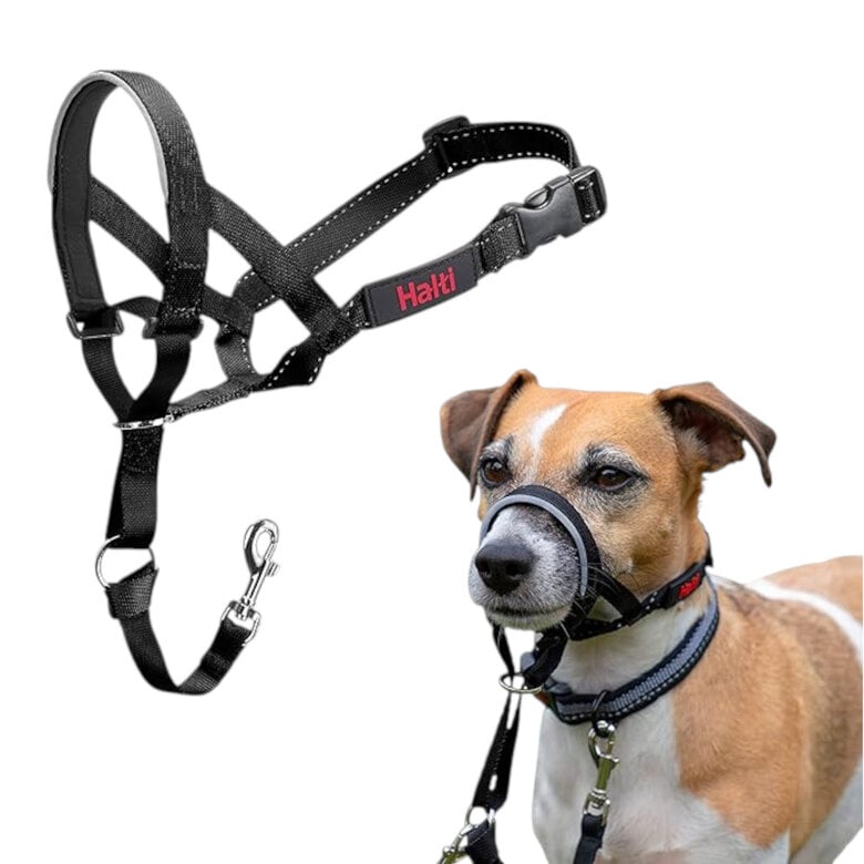 Halti Coleira anti-puxão para cão,  Imagem número 2 Halti Coleira anti-puxão para cão, , large Imagem número 2