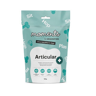 Moments Biscoitos Articular para cães