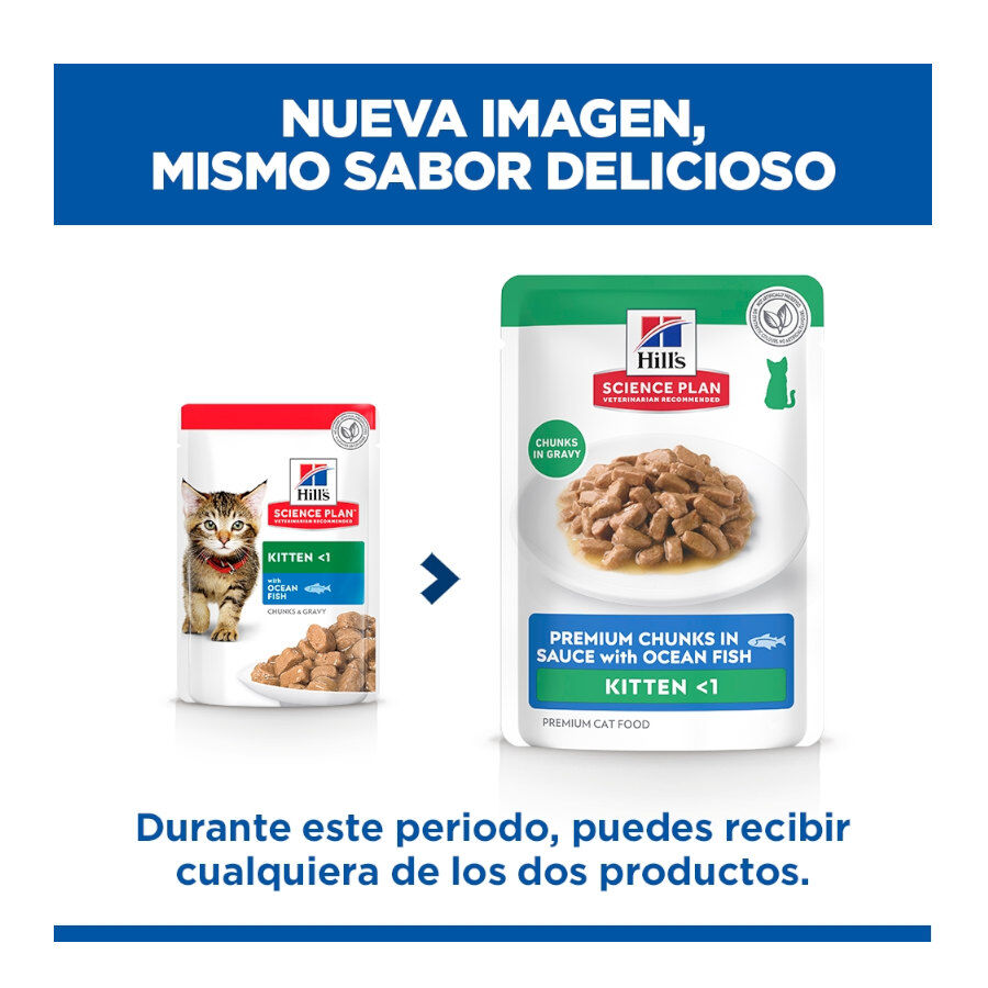 85 g Hill's Kitten Science Plan Peixe Azul saqueta em molho, , large Imagem n&uacute;mero 2