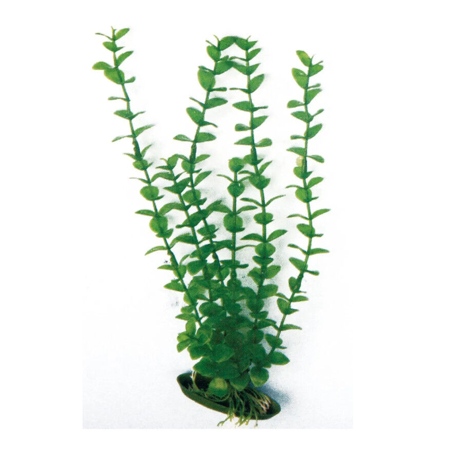Rotala planta de pl&aacute;stico para acuario Imagem n&uacute;mero 1