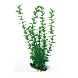 Nayeco Planta Artificial Rotala para aquários 