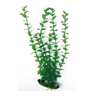 Nayeco Planta Artificial Rotala para aquários 