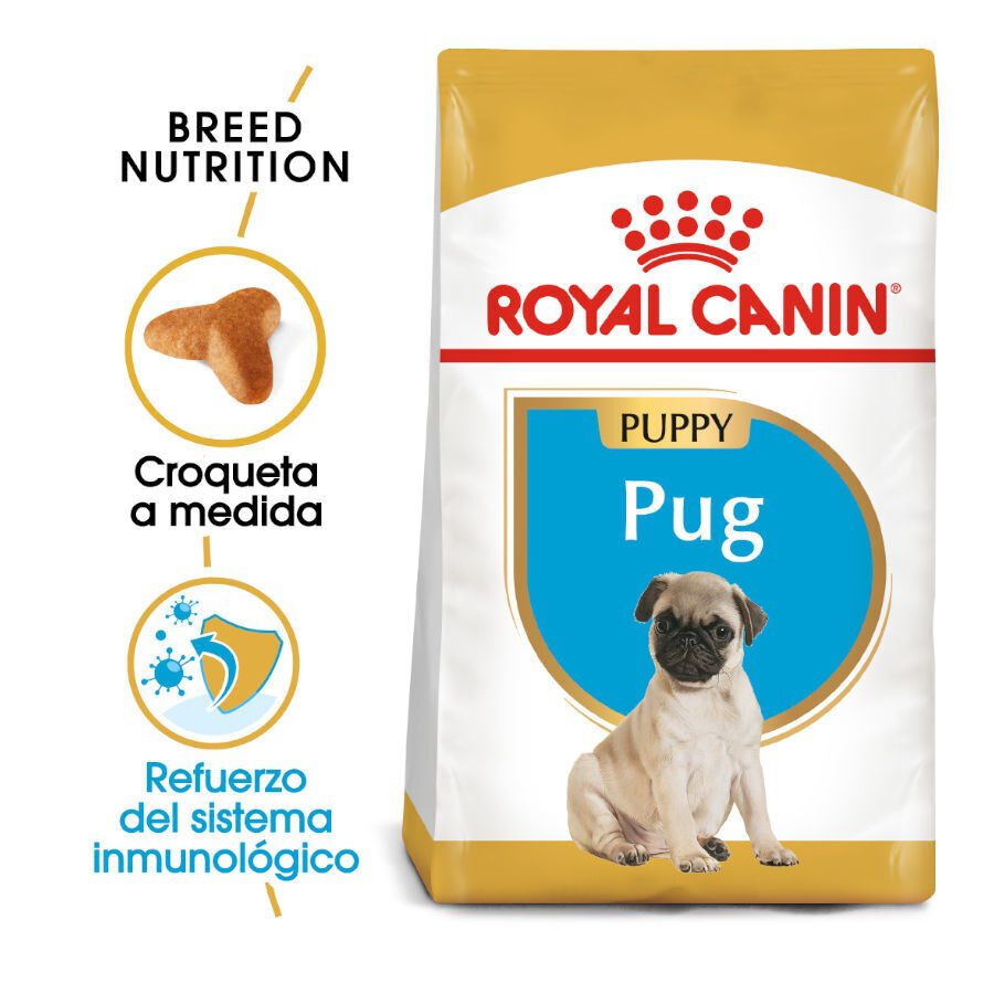 1.5 kg Royal Canin Puppy Pug ra&ccedil;&atilde;o para c&atilde;es, , large Imagem n&uacute;mero 2