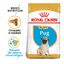 Royal Canin Puppy Pug ração para cães, , large Indicador imagem número 2