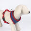 DC Comics Super Pets Peitoral estampado para cães, , large Indicador imagem número 3
