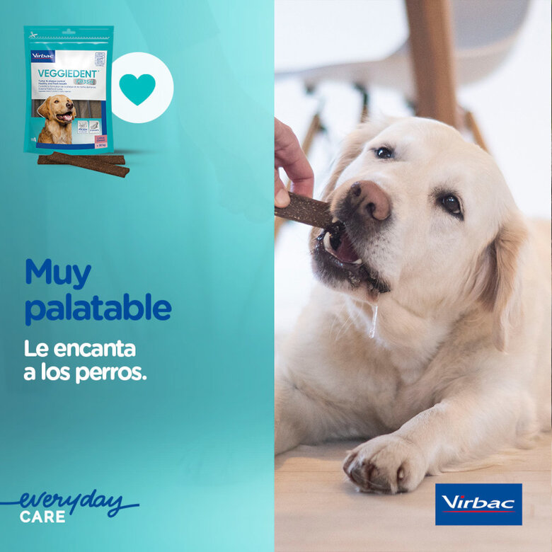 15 sticks Virbac Snacks Dentários Veggiedent Fresh para cães de raça grande,  Imagem número 7 15 sticks Virbac Snacks Dentários Veggiedent Fresh para cães de raça grande, , large Imagem número 7
