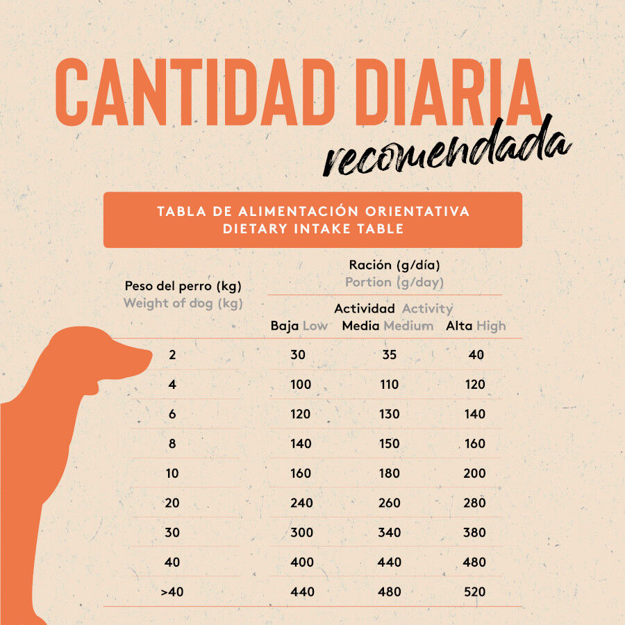 12 kg Dibaq Sense Low Grain Adult Ra&ccedil;&atilde;o de peixe para c&atilde;es, , large Imagem n&uacute;mero 5