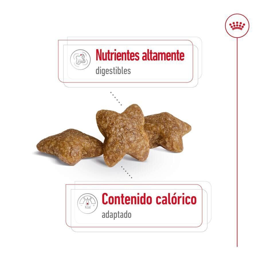 2 x 9 kg ( 8 + 1 kg &iexcl;gr&aacute;tis!) Royal Canin Mini Adult ra&ccedil;&atilde;o para c&atilde;es Pack poupan&ccedil;a!, , large Imagem n&uacute;mero 6