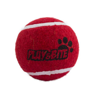 Play & Bite Bola de Ténis Vermelha para cães