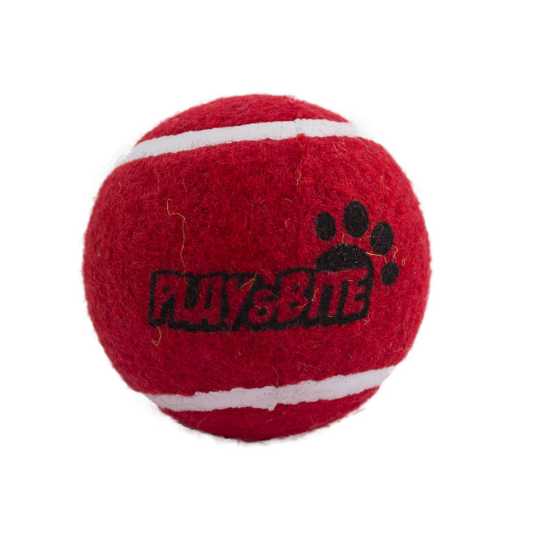 Play & Bite Bola de Ténis Vermelha para cães, , large image number null
