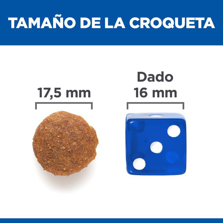 14 kg Hill's Large Adult Science Plan Frango ração para cães,  Imagem número 6 14 kg Hill's Large Adult Science Plan Frango ração para cães, , large Imagem número 6