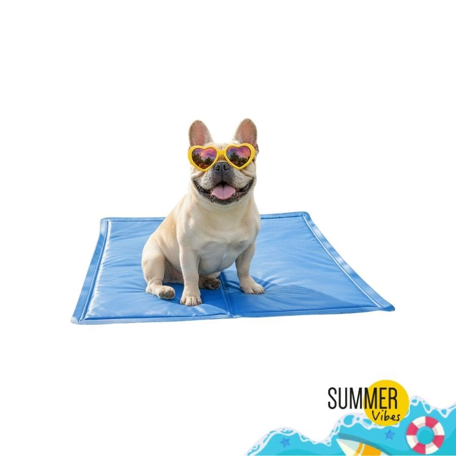 Summer Vibes Manta Refrescante Azul para c&atilde;es, , large Imagem n&uacute;mero 6