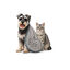 Bloob Toalha de secagem para c&atilde;es e gatos, , large Indicador imagem n&uacute;mero 1