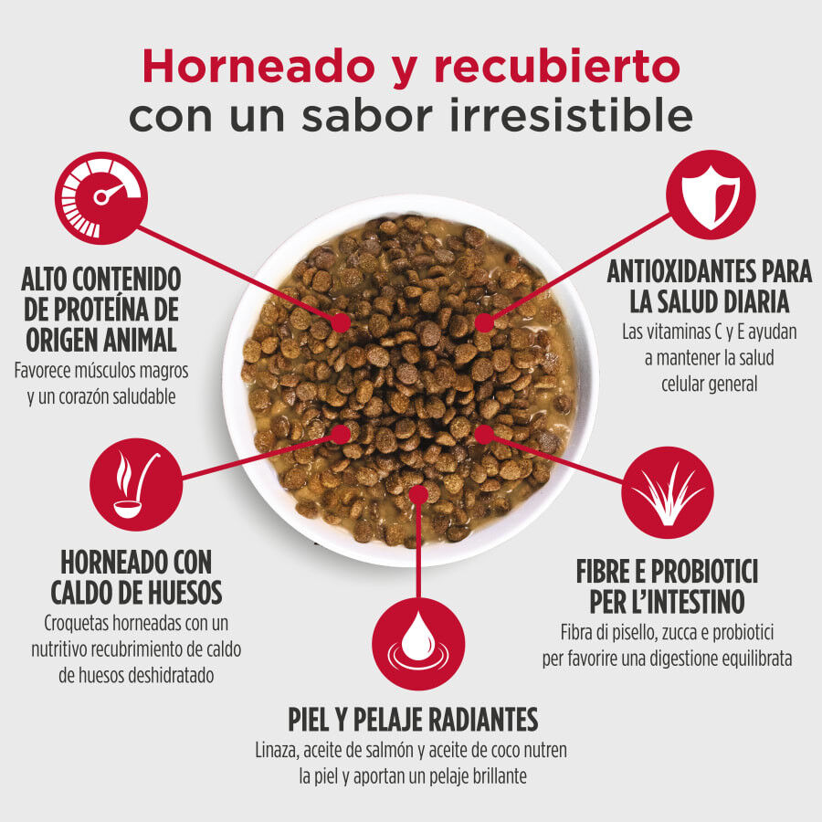 5 kg Nulo Baked & Coated Ra&ccedil;&atilde;o de Frango, Peru e Pato para Cachorros, , large Imagem n&uacute;mero 3