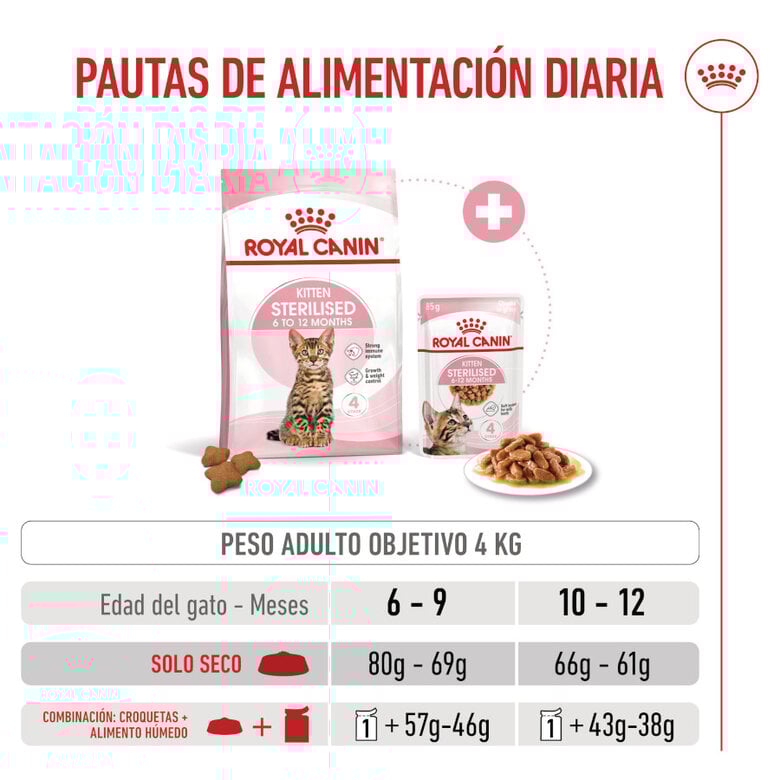 3.5 kg Royal Canin Kitten Sterilised ração para gatos ,  Imagem número 9 3.5 kg Royal Canin Kitten Sterilised ração para gatos , , large Imagem número 9