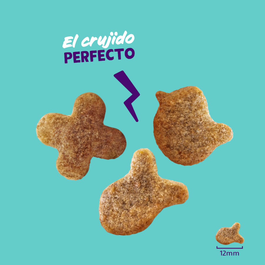 50 g Edgard & Cooper Crunchies Snack de salm&atilde;o para gatos, , large Imagem n&uacute;mero 3