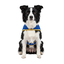 Gotoo Casaco Azul com Bolso para c&atilde;es, , large Indicador imagem n&uacute;mero 7